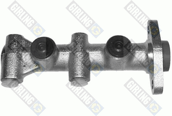 Brake Master Cylinder (4006598)