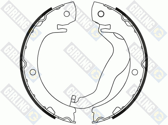 Brake Shoe Set, parking brake (5187949)