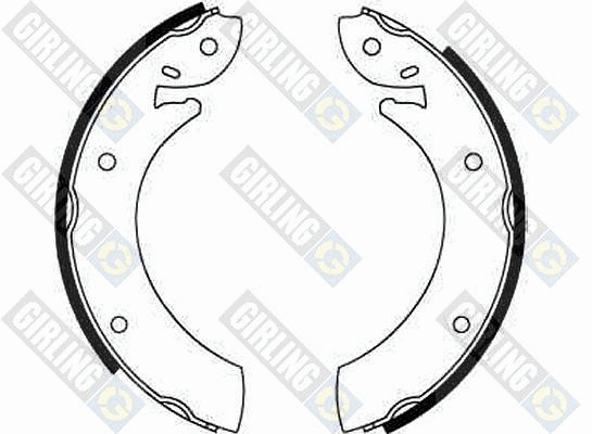 Brake Shoe Set (5160871)