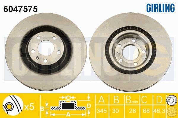 Brake Disc (6047575)