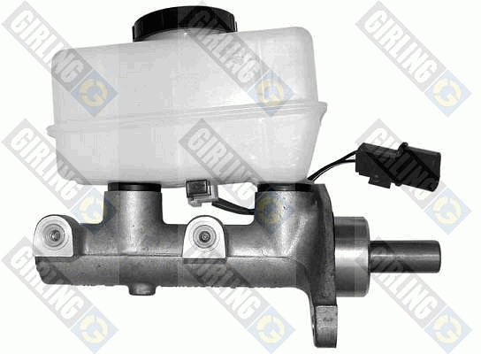Brake Master Cylinder (4007503)