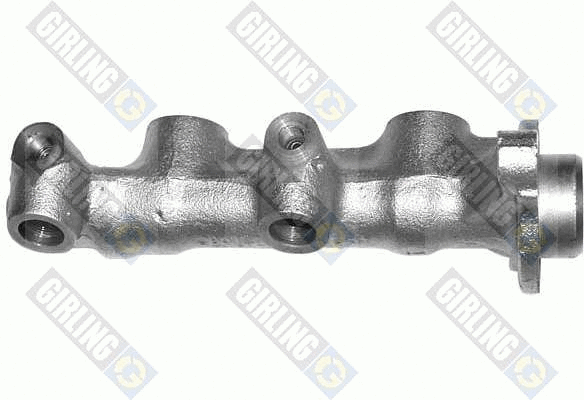 Brake Master Cylinder (4005159)