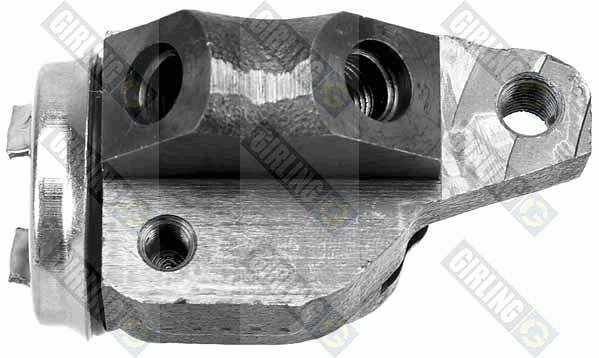 Wheel Brake Cylinder (5007158)