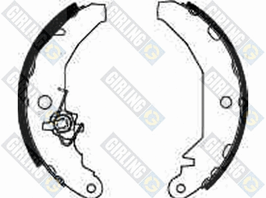 Brake Shoe Set (5161793)