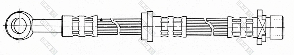 Brake Hose (9004601)