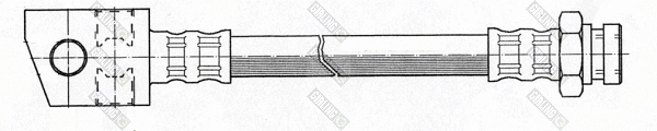 Brake Hose (9001300)