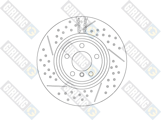 Brake Disc (6066065)