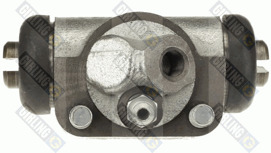 Wheel Brake Cylinder (5006248)