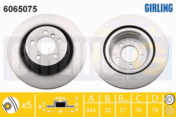 Brake Disc (6065075)