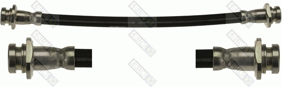 Brake Hose (9001565)