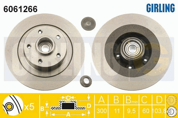 Brake Disc (6061266)
