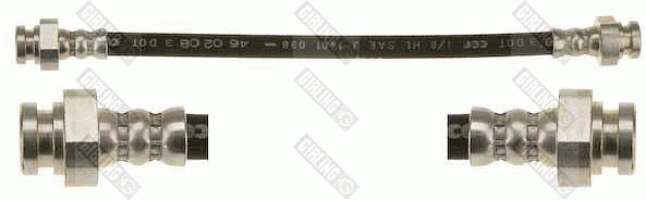 Brake Hose (9001548)