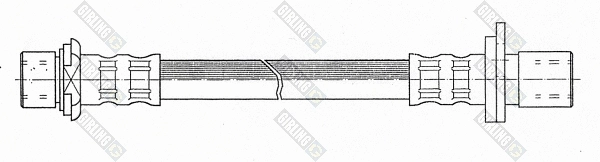 Brake Hose (9001551)