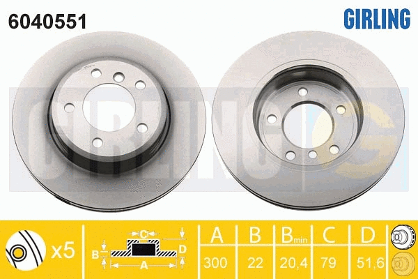 Brake Disc (6040551)