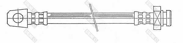 Brake Hose (9004380)