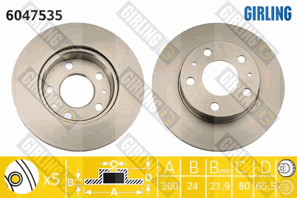 Brake Disc (6047535)