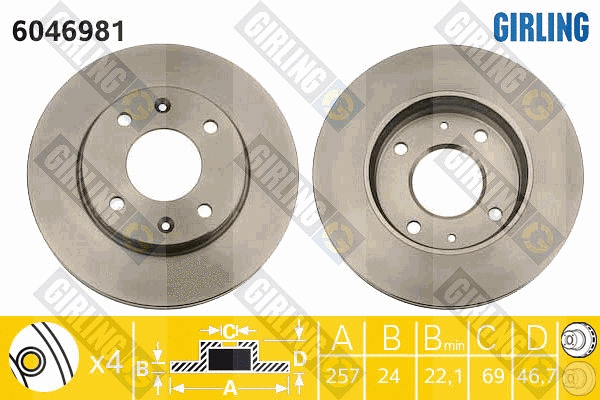 Brake Disc (6046981)