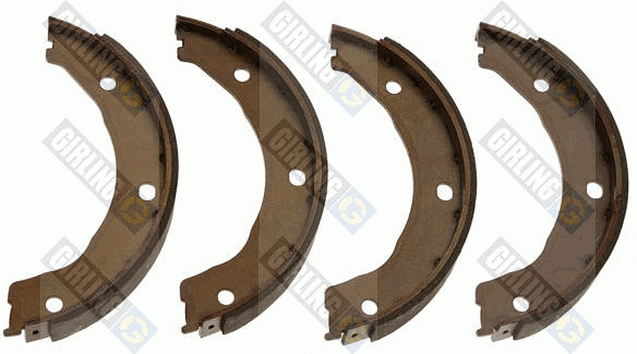 Brake Shoe Set, parking brake (5187269)