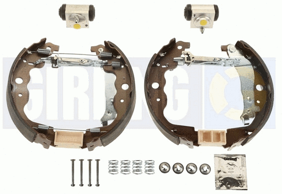 Brake Shoe Set (5310824)