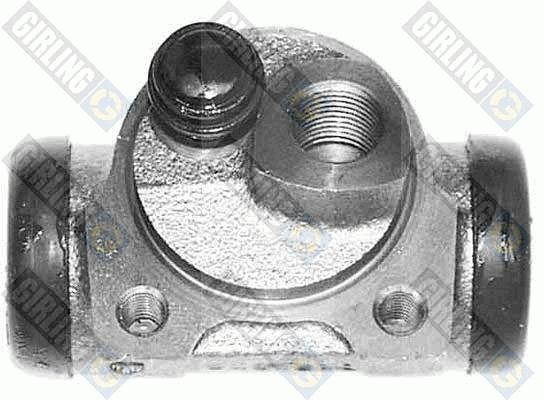 Wheel Brake Cylinder (5005250)