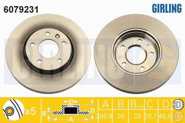 Brake Disc (6079231)