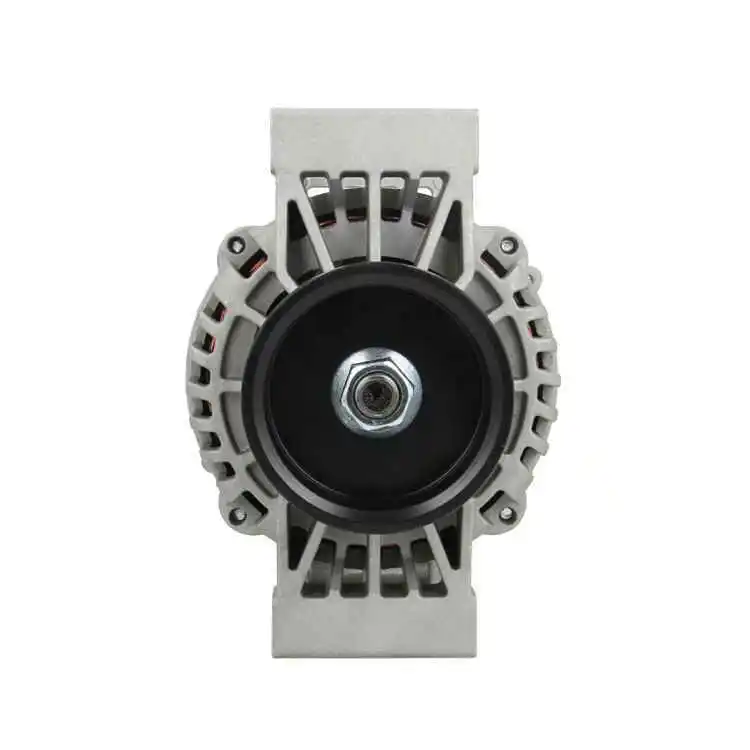Alternator (556.519.100.030)
