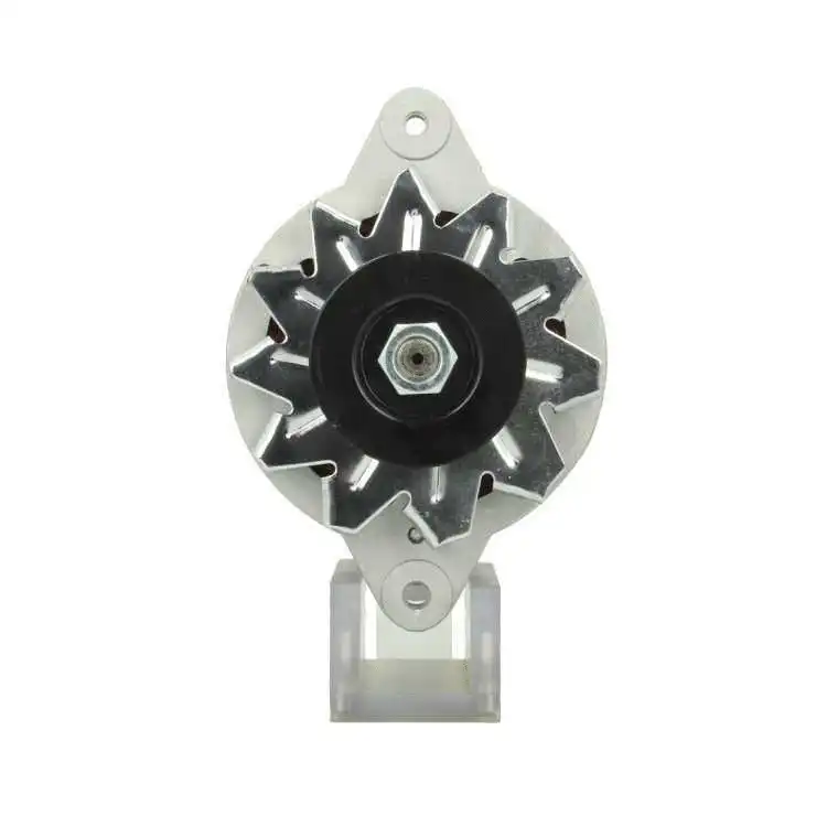 Alternator (165.003.035.080)