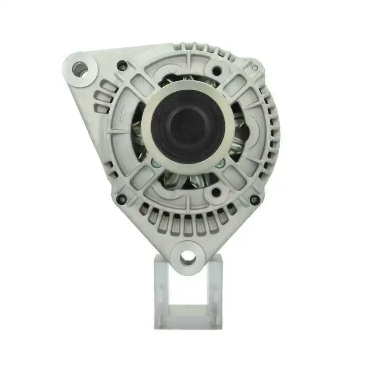 Alternator (555.513.090.010)