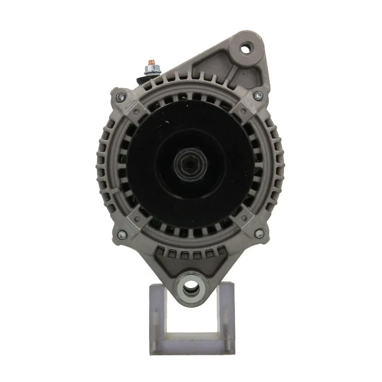 Alternator (195.318.080.050)