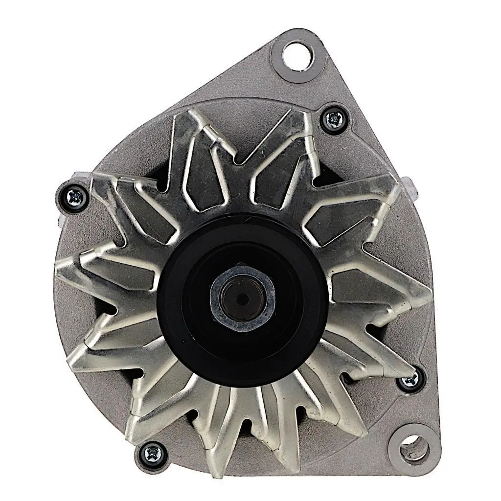 Alternator (555.010.080.018)