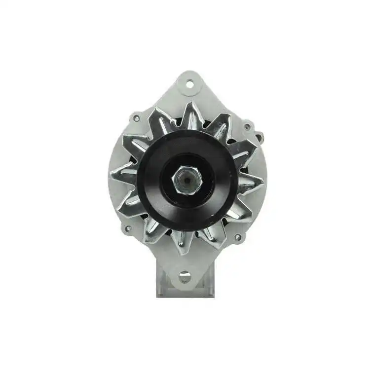 Alternator (165.811.070.080)