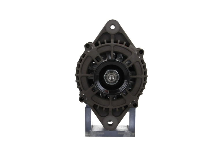Alternator (975.501.070.391)