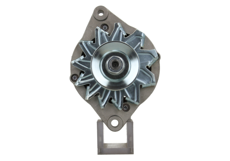Alternator (815.029.070.311)