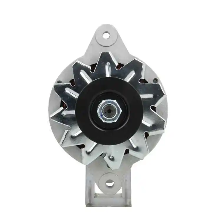 Alternator (165.003.050.080)