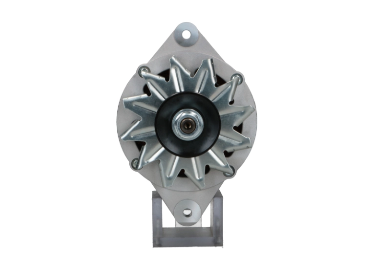Alternator (135.811.070.018)