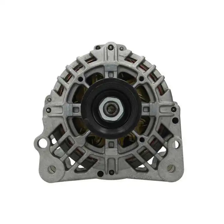 Alternator (305.517.070.500)
