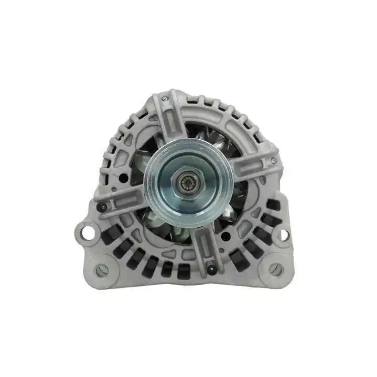 Alternator (305.519.090.010)