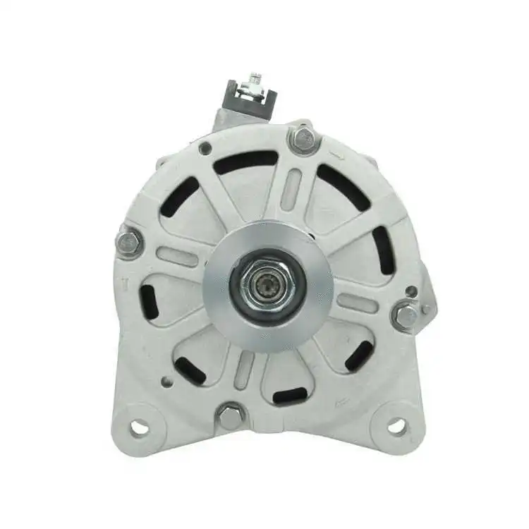 Alternator (305.419.190.080)