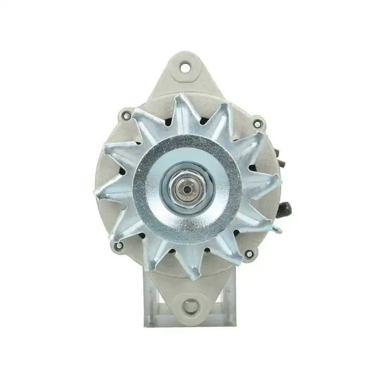 Alternator (255.801.060.415)