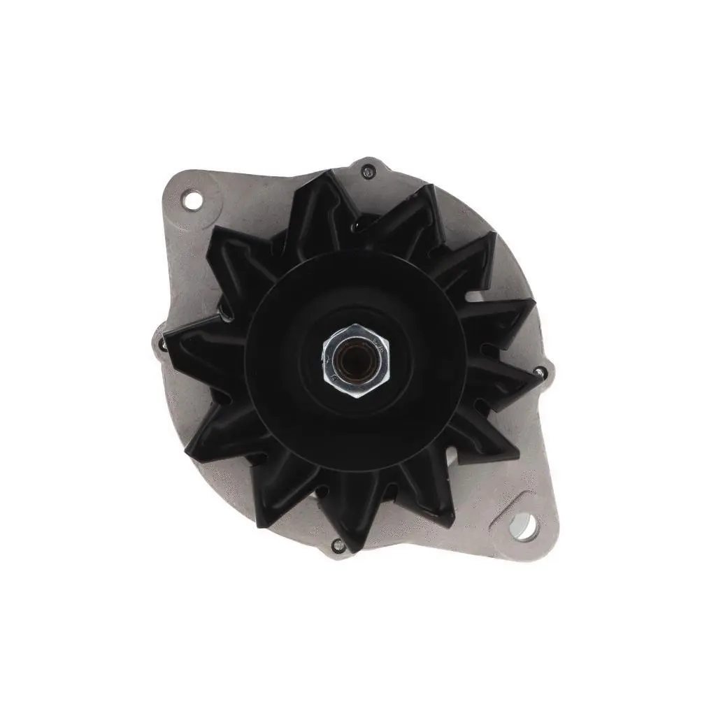 Alternator (135.807.070.088)