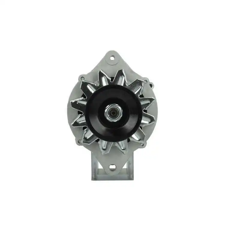 Alternator (165.823.060.080)