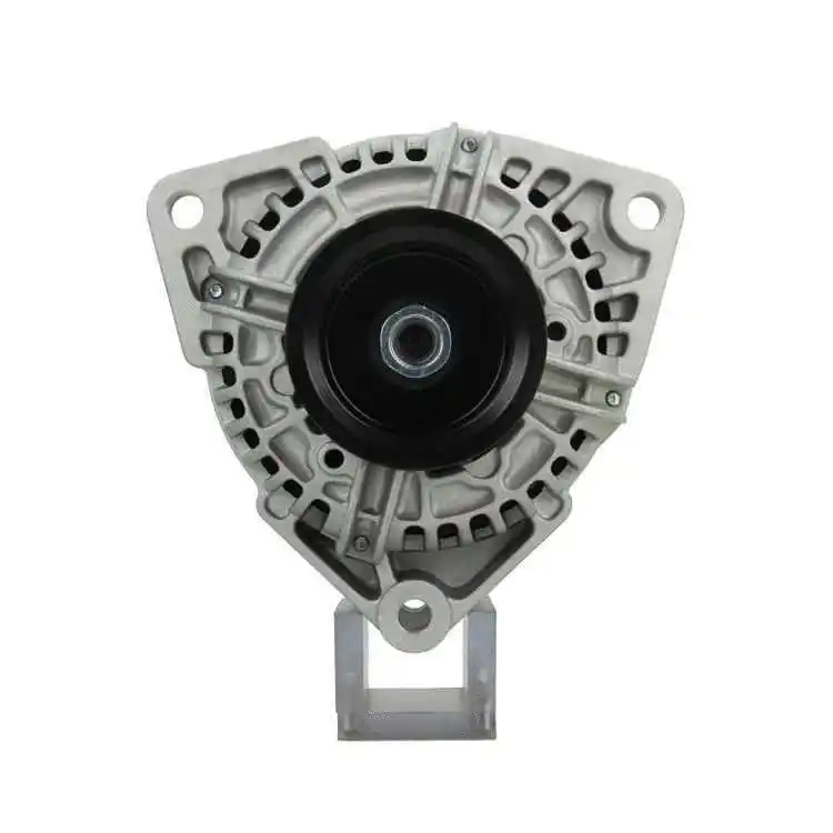 Alternator (556.504.080.310)