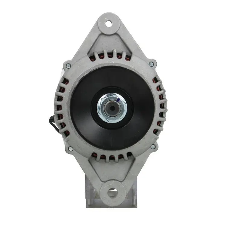 Alternator (165.829.060.080)