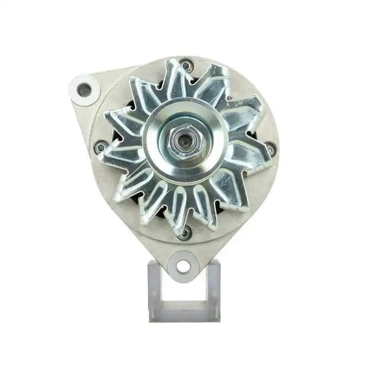 Alternator (555.013.070.311)