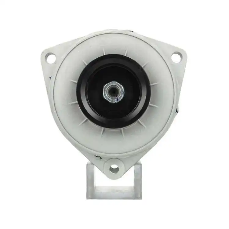 Alternator (556.025.100.010)