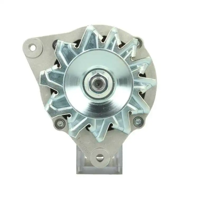 Alternator (596.005.055.310)