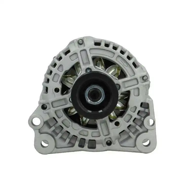 Alternator (305.513.090.010)