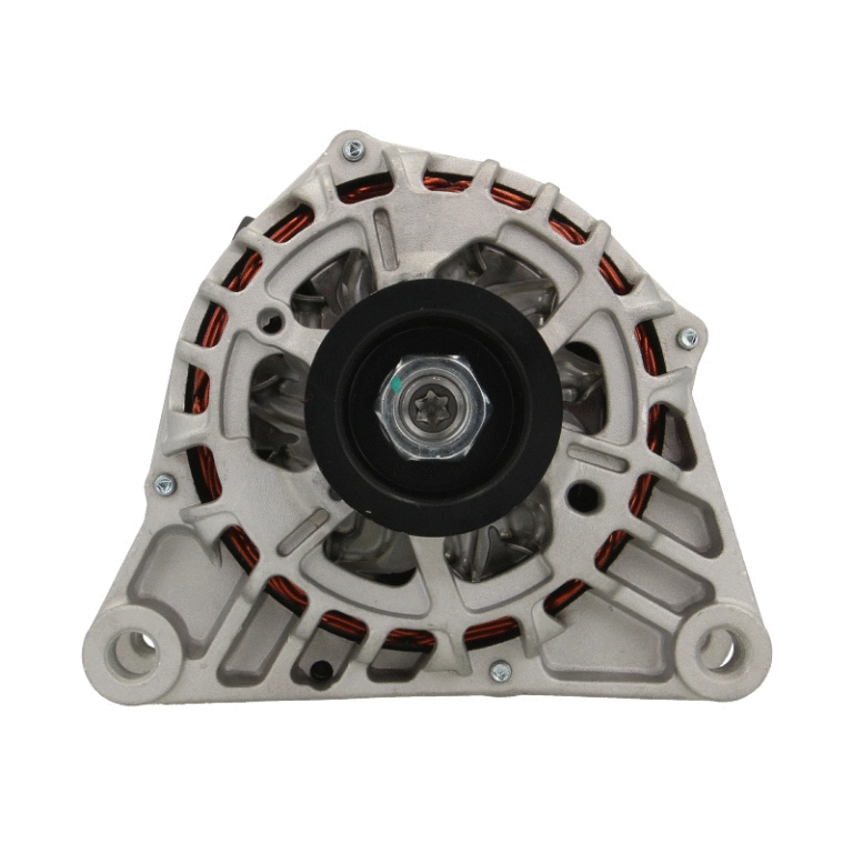 Alternator (225.519.070.000)