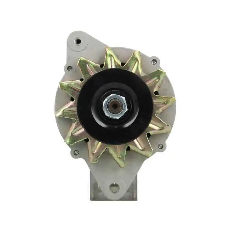 Alternator (135.802.070.311)