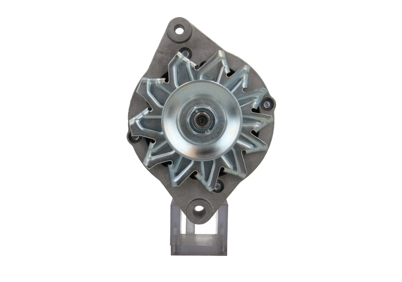 Alternator (815.019.100.313)